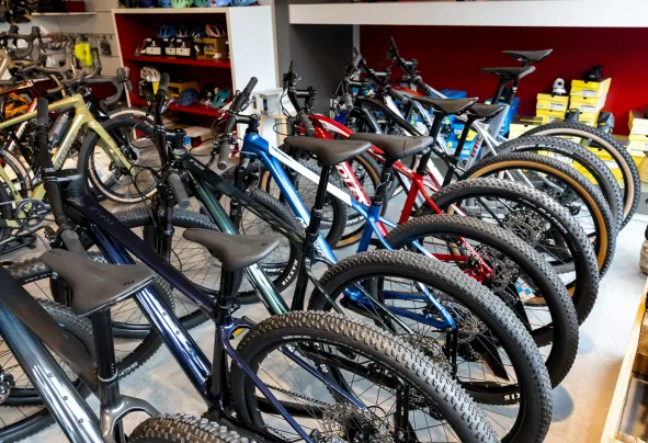 Showroom MTB